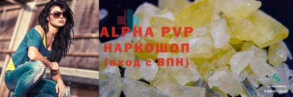 стаф Аркадак