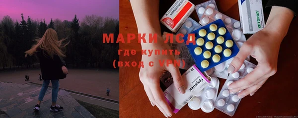 прущие грибы Армянск