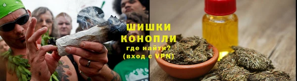 прущие грибы Армянск