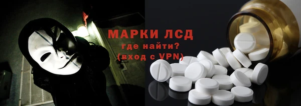 стаф Аркадак