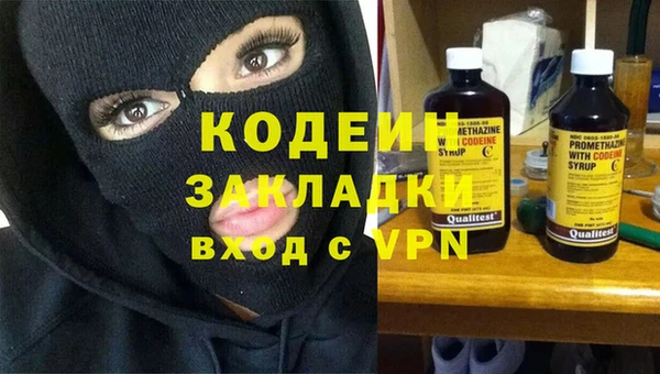 стаф Аркадак