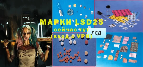 стаф Аркадак