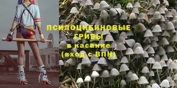 стаф Аркадак