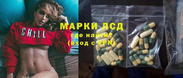 прущие грибы Армянск