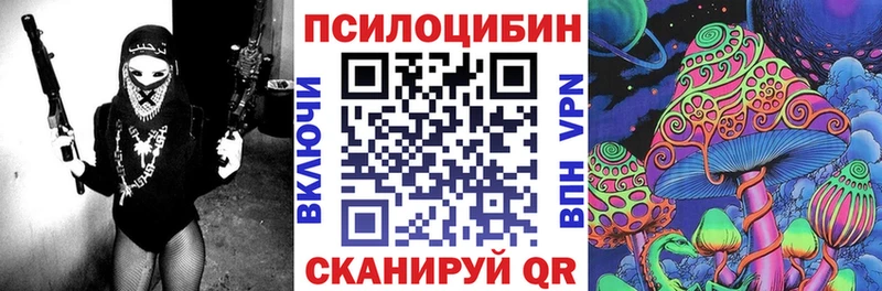 как найти наркотики  Ртищево  Галлюциногенные грибы Psilocybe 